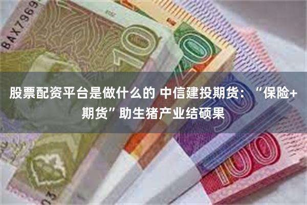 股票配资平台是做什么的 中信建投期货：“保险+期货”助生猪产业结硕果