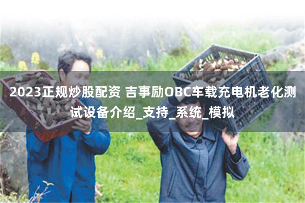 2023正规炒股配资 吉事励OBC车载充电机老化测试设备介绍_支持_系统_模拟