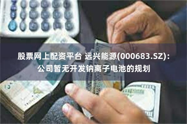 股票网上配资平台 远兴能源(000683.SZ)：公司暂无开发钠离子电池的规划