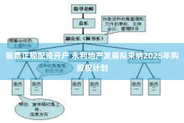 股票正规配资开户 永利地产发展拟采纳2025年购股权计划
