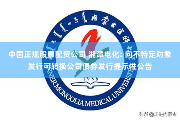 中国正规股票配资公司 湘潭电化: 向不特定对象发行可转换公司债券发行提示性公告