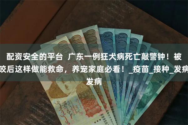 配资安全的平台  广东一例狂犬病死亡敲警钟！被咬后这样做能救命，养宠家庭必看！_疫苗_接种_发病